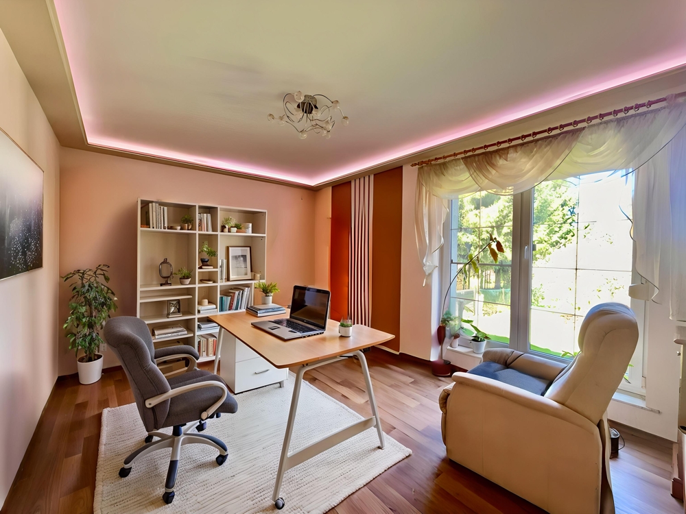 Homeoffice