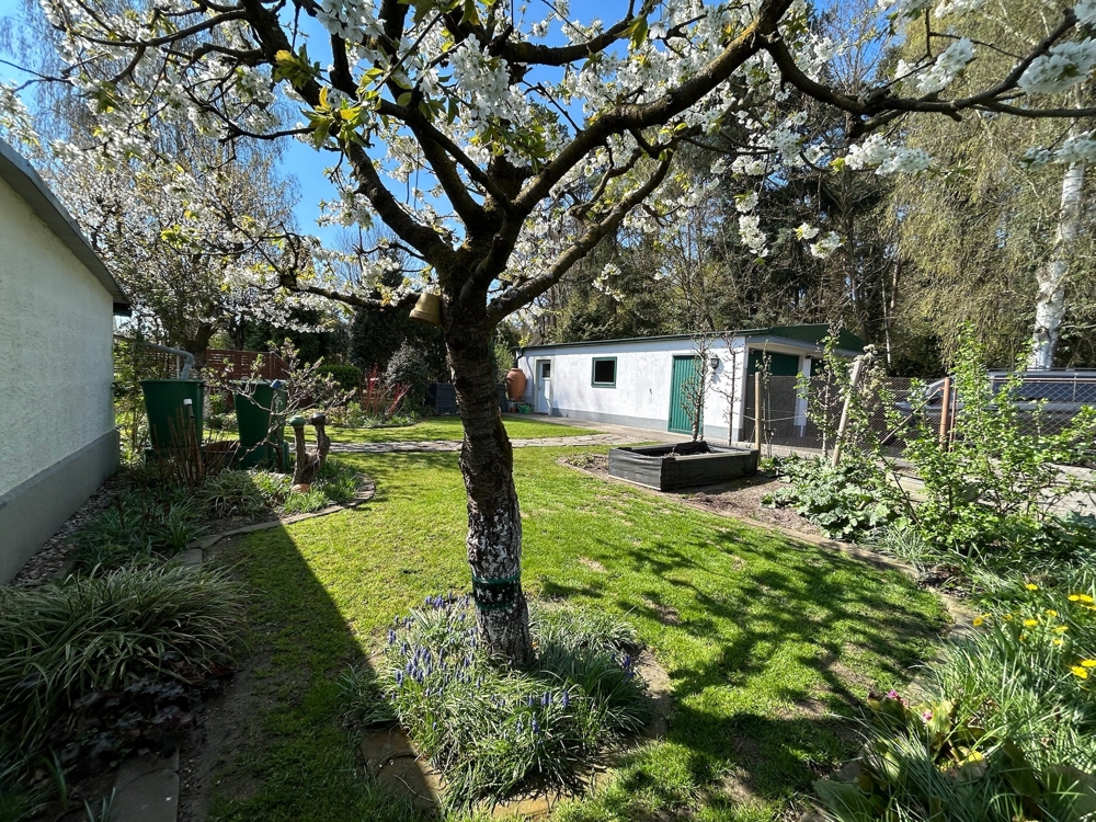 Gartenansicht 